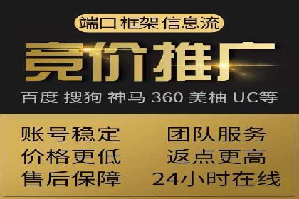 竞价SEM托管案例：精准营销的利器